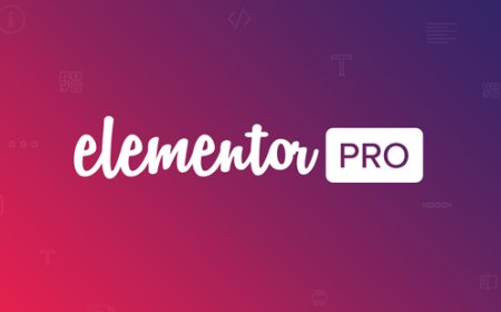 Elementor Pro v3.22.1