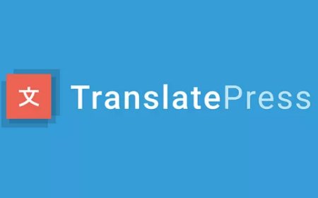 TranslatePress - WordPress Translation Plugin v1.6.6
