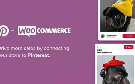 Pinterest for WooCommerce v2.4.9