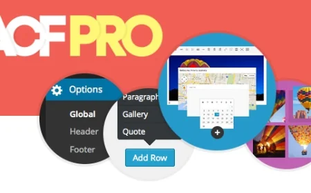 Advanced Custom Fields Pro v6.3.3