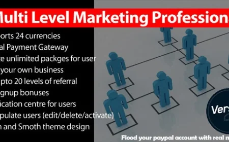 Multi Level Marketing Professional