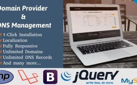 Domain Provider & DNS Management