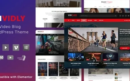 Vividly - Video Blog WordPress Theme v1.5.4