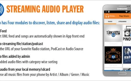 Streaming Audio Player