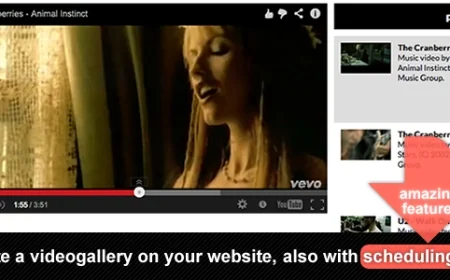 YouTube Vimeo Video Gallery Scheduling