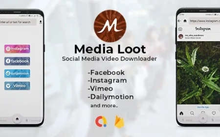 Media Loot v1.0 - The Ultimate Social Media Downloader