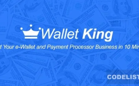 Wallet King v1.0 - Online Payment Gateway with API