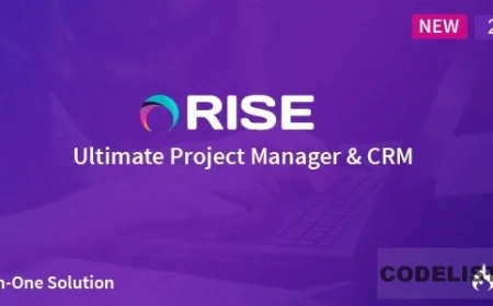 RISE v2.5 - Ultimate Project Manager - nulled