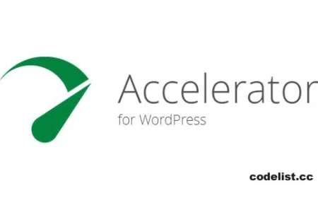 Seraphinite Accelerator v2.22.16