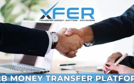 WePay - B2B Money Transfer Platform