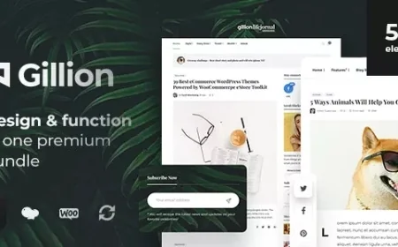 Gillion - Multi-Concept Blog/Magazine &amp; Shop WordPress AMP Theme v4.11