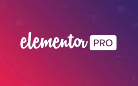 Elementor Pro v3.25.5 - The Most Advanced Website Builder Plugin