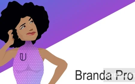 Branda Pro v3.4.23 - WordPress white label branding
