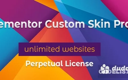 Elementor Custom Skin Pro v3.2.5
