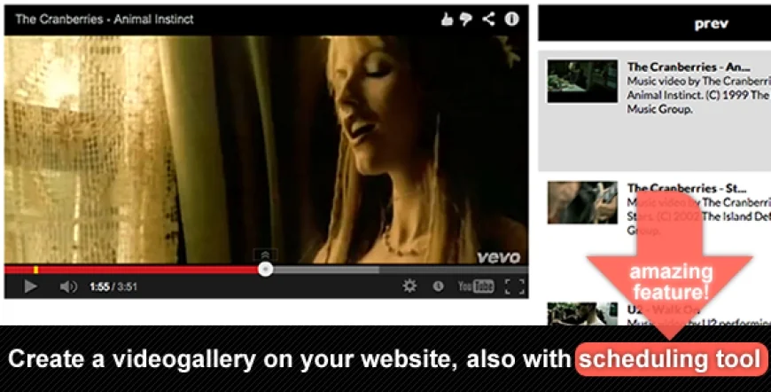 YouTube Vimeo Video Gallery Scheduling