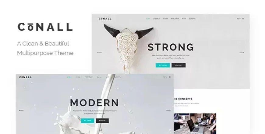 Conall v2.4 - Clean Multipurpose Theme