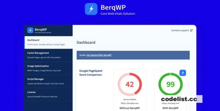 BerqWP v1.7.8 - Automated WordPress Plugin