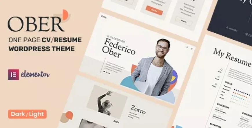 Ober - CV Resume WordPress Theme v1.3.3