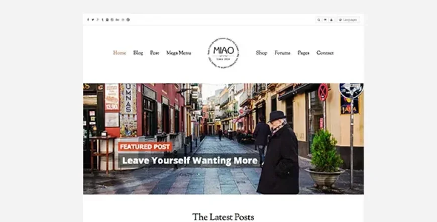 Miao v1.1.3 - Fashion Magazine, News &amp; Blog WordPress Theme
