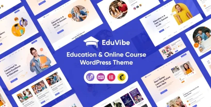EduVibe v1.0.11 - Education &amp; Online Course WordPress Theme