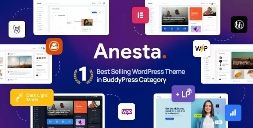Anesta - Intranet, Extranet, Community and BuddyPress WordPress Theme v1.2.1