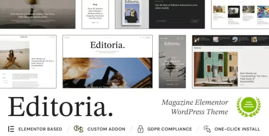 Editoria v1.0.2 - Newspaper &amp; Magazine WordPress Theme