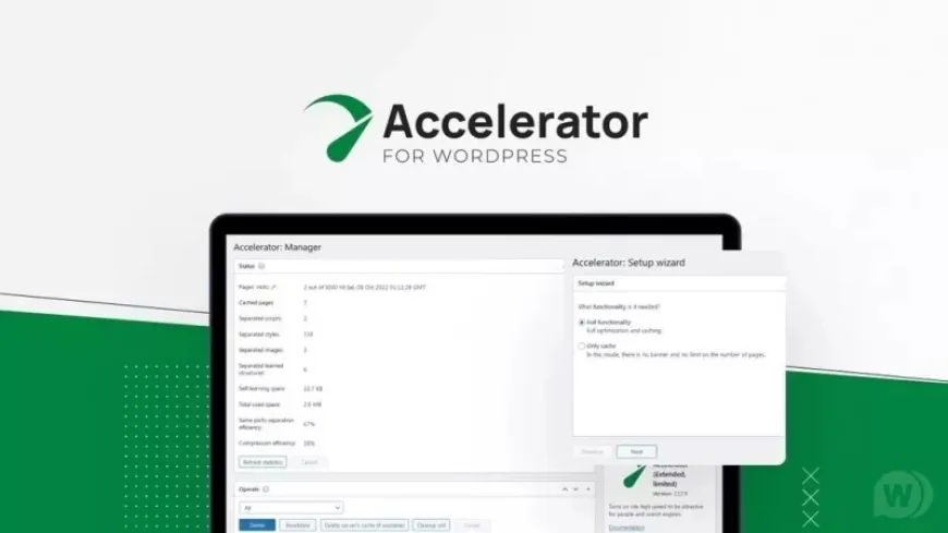 Seraphinite Accelerator v2.27.45