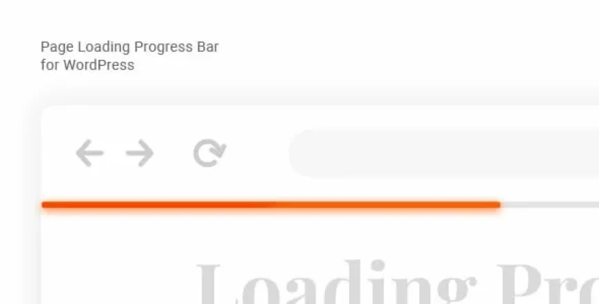 Laser - Page Loading Progress Bar for WordPress v1.0.2