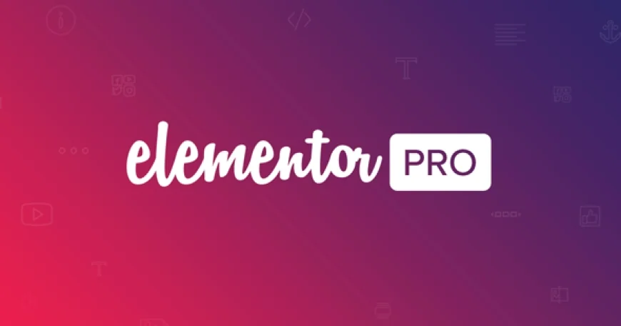 Elementor Pro v3.25.4