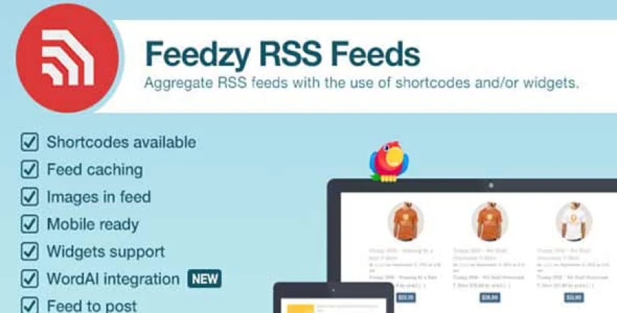 Feedzy v2.4.8 - RSS Feeds Premium WordPress Plugin