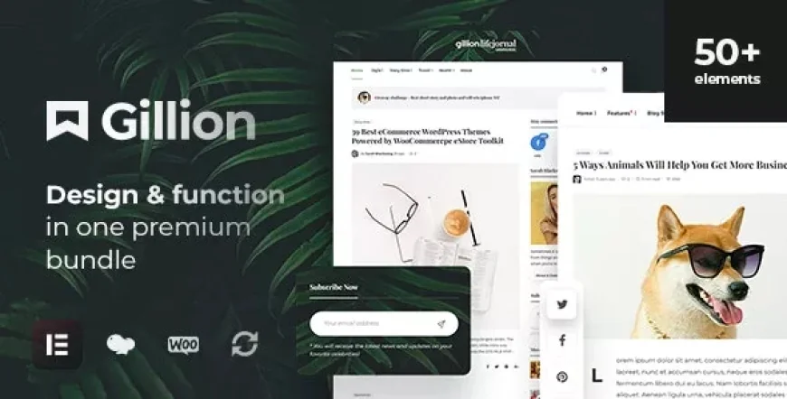 Gillion - Multi-Concept Blog/Magazine &amp; Shop WordPress AMP Theme v4.11