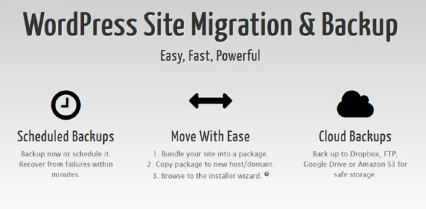 Duplicator Pro v4.5.20 - WordPress Site Migration &amp; BackUp